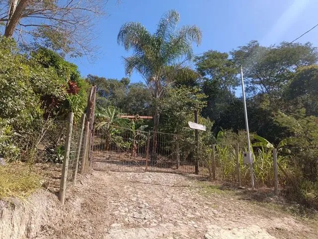 Imagem 6: Sítio - Antônio dos Santos - Caeté/Mg
