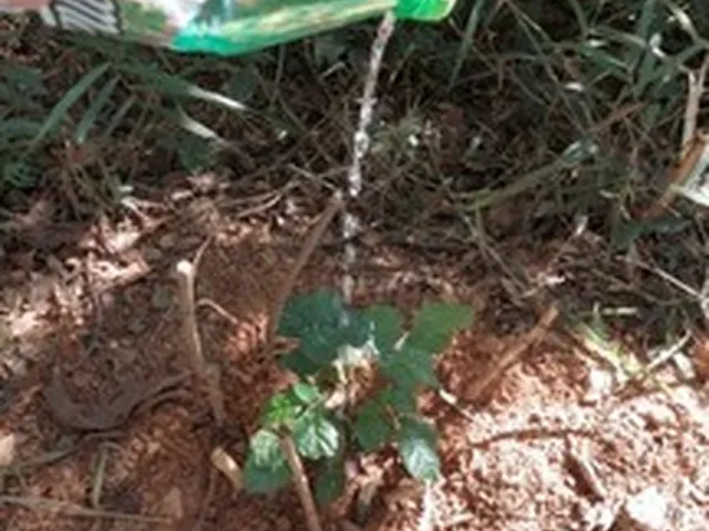 Imagem: O terreno possui 7.100m² de Área e está localizado em