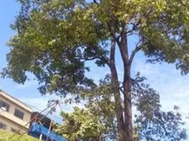 Imagem 4: Terrenos a Venda em Bela Aurora
