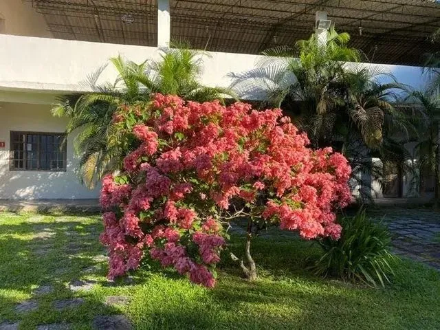Imagem 10: Sítio para Venda em Cachoeiras de Macacu, Agro Brasil, 6 Dormitórios, 4 Suítes, 6