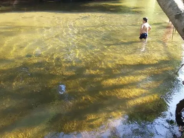 Imagem: Chácara em Ribeirão Grande