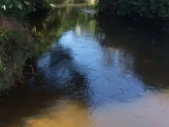Imagem 4: Chácara em Ribeirão Grande