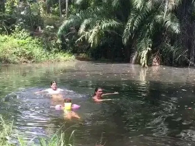 Imagem: Vendo Ótimo Sítio em Alhandra !!!