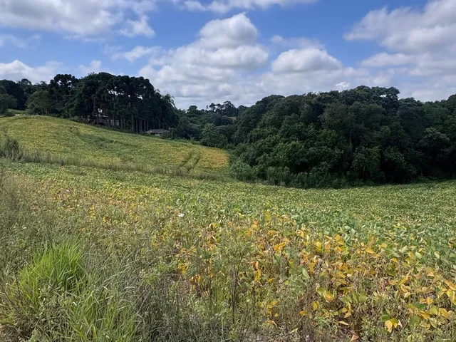 Imagem 10: Terreno Lote em Centro, Balsa Nova/PR