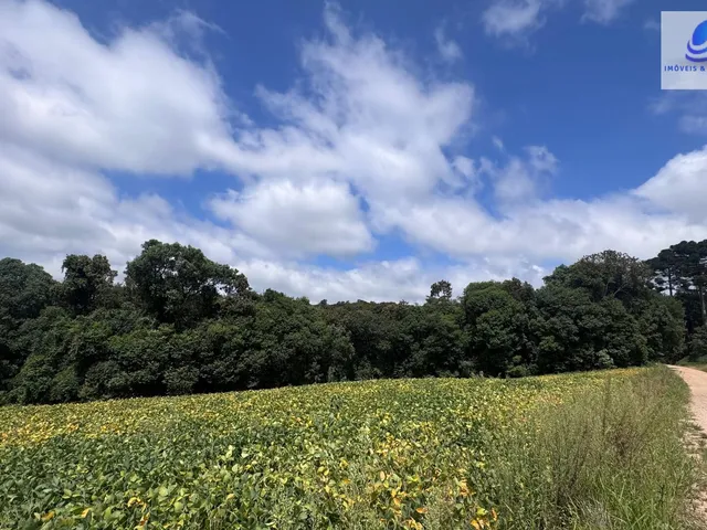 Imagem 8: Terreno Lote em Centro, Balsa Nova/PR