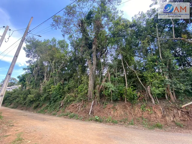 Imagem: Terreno Lote em Centro, Balsa Nova/PR