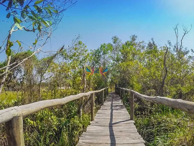 Imagem 8: Chácara no Loteamento Três Rios