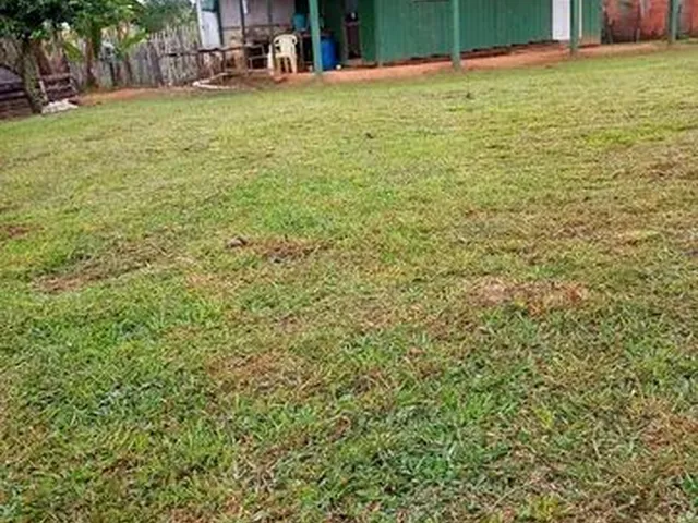 Imagem: Vendo Uma Casa de 50 Mil