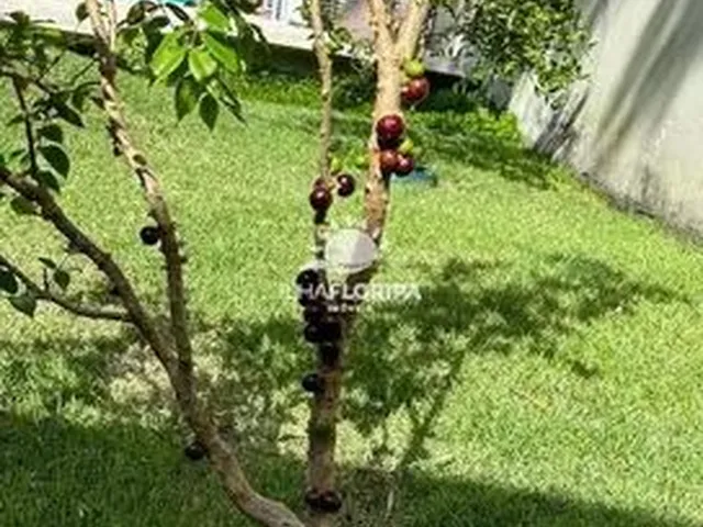 Imagem 4: Florianópolis - Casa Padrão - Daniela