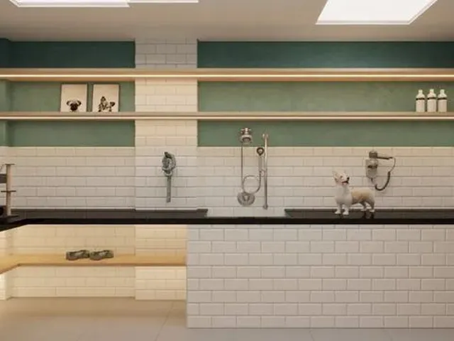 Imagem 5: Mx-Studio para Venda Possui 32 Metros Quadrados com 1 Quarto em Santana - Gravatá