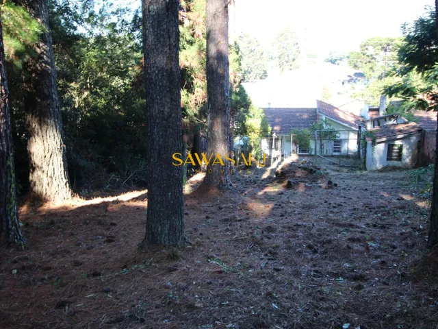 Imagem 2: Terreno ZR-2 Casa com 3 dormitórios