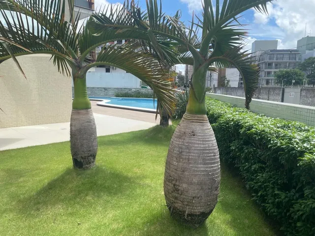 Imagem 7: APARTAMENTO - JOÃO PESSOA