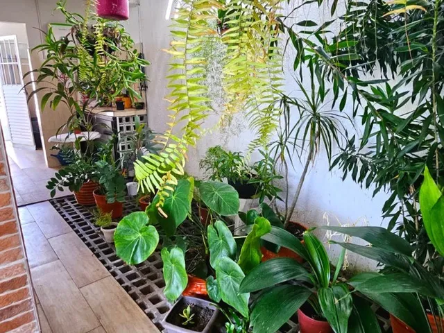 Imagem 10: CASA - CABEDELO Casa com 3 dormitórios