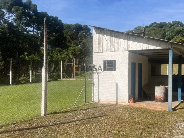 Imagem 2: Chácara à Venda em Campo Largo-PR: Espaço, Conforto e Qualidade de Vida!