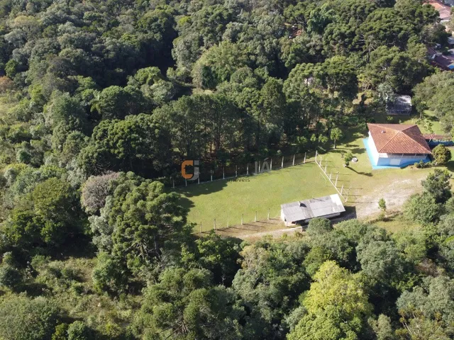 Imagem 13: Chácara à Venda em Campo Largo-PR: Espaço, Conforto e Qualidade de Vida!