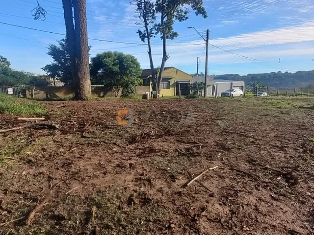 Imagem 6: TERRENO RESIDENCIAL em Campo Largo - PR, São Gerônimo