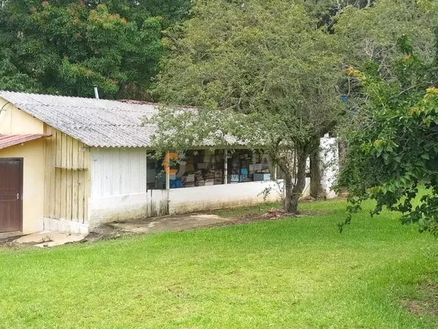 Imagem 4: Chacara Rural em Campo Largo - Pr, Fazendinha