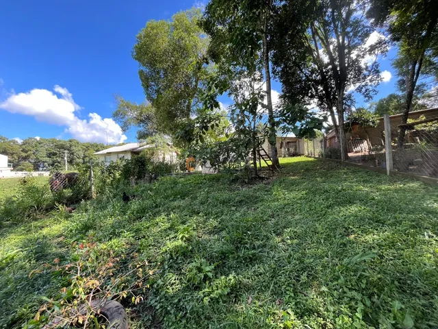 Imagem 10: TERRENO RESIDENCIAL em BALSA NOVA - PR, BUGRE PESSEGUEIROS