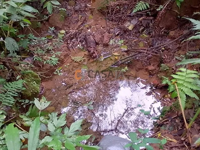 Imagem 12: Chácara com Vista para o Morro Três Irmãos em Bateias