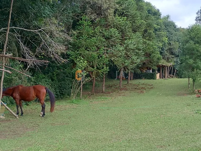 Imagem 2: Chácara com Vista para o Morro Três Irmãos em Bateias