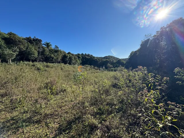 Imagem 14: CHÁCARA FORMADA NO PÉ DA SERRA, TANQUE, NASCENTE, BOSQUE