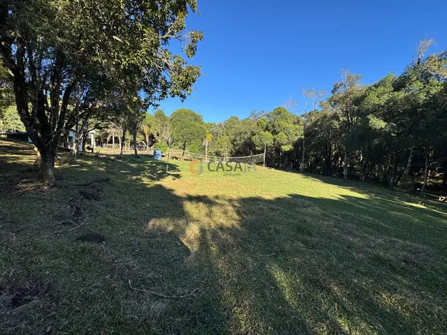 Imagem 12: CHÁCARA FORMADA NO PÉ DA SERRA, TANQUE, NASCENTE, BOSQUE