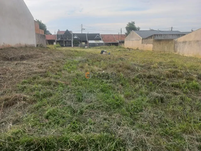 Imagem 5: TERRENO RESIDENCIAL em CAMPO LARGO - PR, CRISTO REI