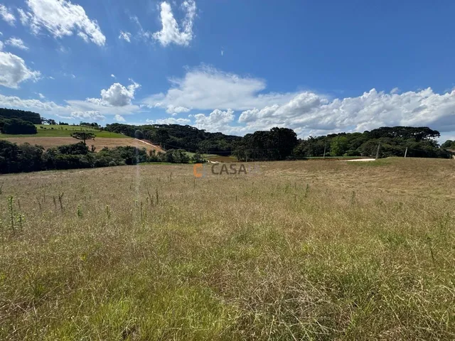 Imagem 2: Terreno Para Formação de Chácara Próximo ao Centro de Araucária