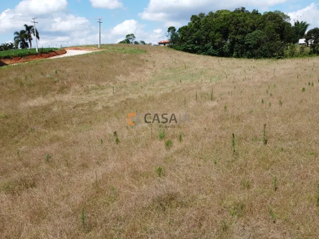 Imagem 11: Terreno Para Formação de Chácara Próximo ao Centro de Araucária