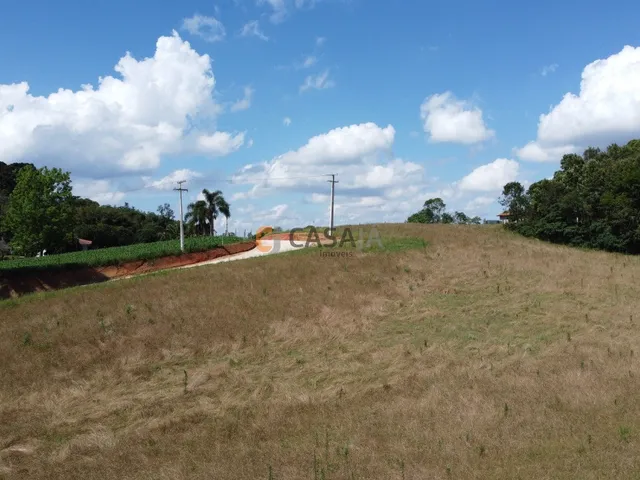 Imagem 14: Terreno Para Formação de Chácara Próximo ao Centro de Araucária