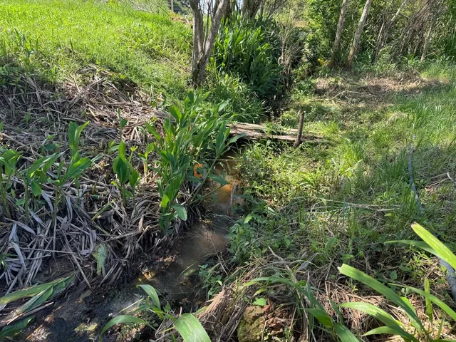 Imagem 4: Terreno Para Formação de Chácara Próximo ao Centro de Araucária