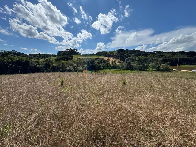 Imagem 7: Terreno Para Formação de Chácara Próximo ao Centro de Araucária