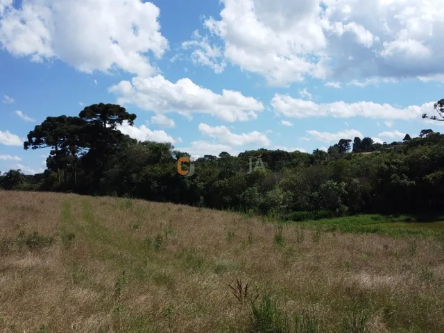 Imagem 10: Terreno Para Formação de Chácara Próximo ao Centro de Araucária