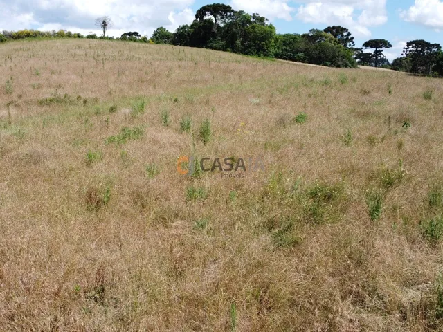 Imagem 13: Terreno Para Formação de Chácara Próximo ao Centro de Araucária