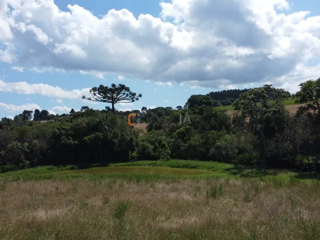 Imagem 12: Terreno Para Formação de Chácara Próximo ao Centro de Araucária