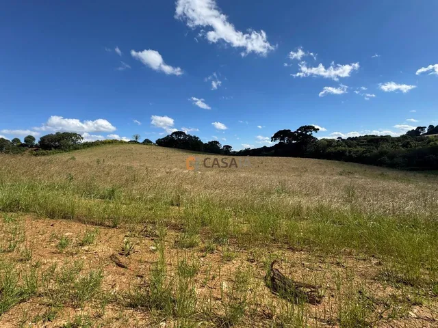 Imagem 5: Terreno Para Formação de Chácara Próximo ao Centro de Araucária
