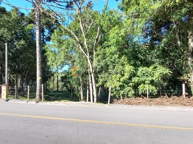 Imagem 9: CHACARA RURAL em Balsa Nova - PR, Bugre
