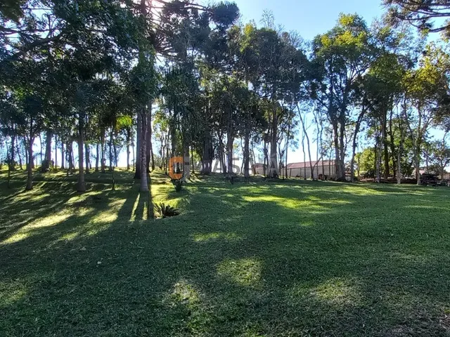 Imagem 4: CHACARA RURAL em Balsa Nova - PR, Bugre