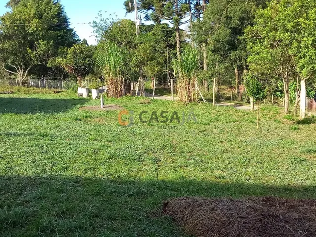 Imagem 10: CHACARA RESIDENCIAL em BALSA NOVA - PR, Mineiros