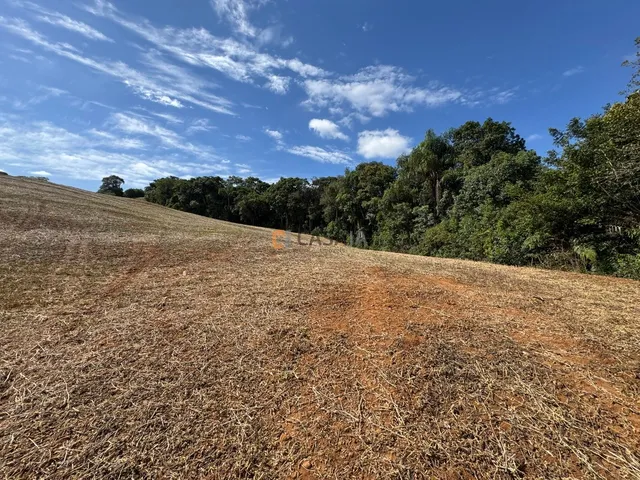 Imagem 7: TERRENO PARA FORMAÇÃO DE CHÁCARA/PLANTIO 30 MINUTOS DO PARQUE BARIGUI, RIO, LINDA VISTA