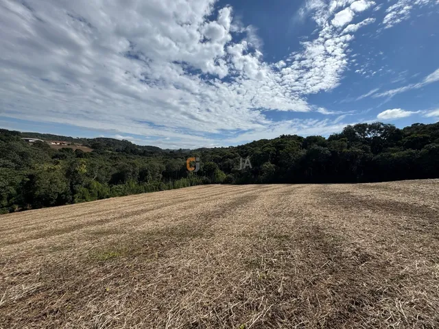 Imagem 10: TERRENO PARA FORMAÇÃO DE CHÁCARA/PLANTIO 30 MINUTOS DO PARQUE BARIGUI, RIO, LINDA VISTA