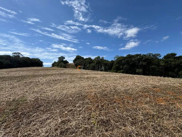 Imagem 13: TERRENO PARA FORMAÇÃO DE CHÁCARA/PLANTIO 30 MINUTOS DO PARQUE BARIGUI, RIO, LINDA VISTA