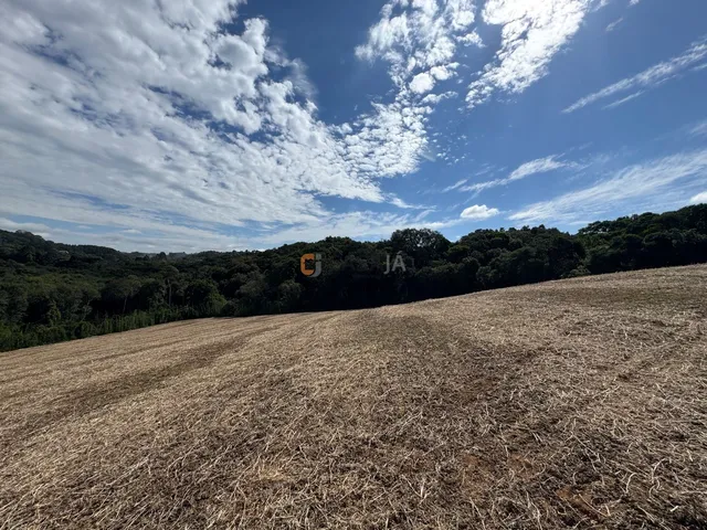 Imagem 16: TERRENO PARA FORMAÇÃO DE CHÁCARA/PLANTIO 30 MINUTOS DO PARQUE BARIGUI, RIO, LINDA VISTA