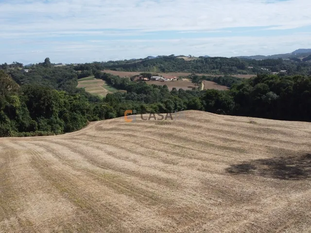 Imagem 2: TERRENO PARA FORMAÇÃO DE CHÁCARA/PLANTIO 30 MINUTOS DO PARQUE BARIGUI, RIO, LINDA VISTA