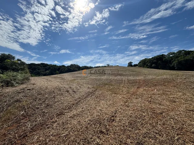 Imagem 5: TERRENO PARA FORMAÇÃO DE CHÁCARA/PLANTIO 30 MINUTOS DO PARQUE BARIGUI, RIO, LINDA VISTA