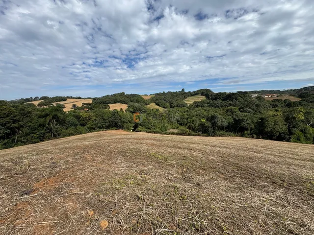 Imagem 8: TERRENO PARA FORMAÇÃO DE CHÁCARA/PLANTIO 30 MINUTOS DO PARQUE BARIGUI, RIO, LINDA VISTA