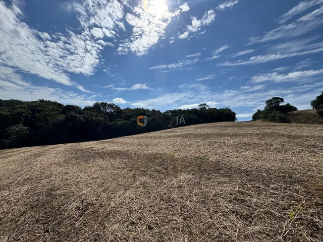 Imagem 11: TERRENO PARA FORMAÇÃO DE CHÁCARA/PLANTIO 30 MINUTOS DO PARQUE BARIGUI, RIO, LINDA VISTA