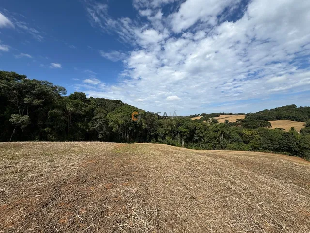 Imagem 14: TERRENO PARA FORMAÇÃO DE CHÁCARA/PLANTIO 30 MINUTOS DO PARQUE BARIGUI, RIO, LINDA VISTA