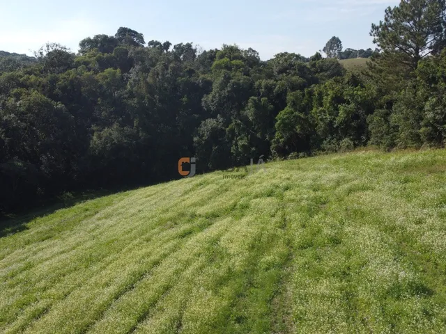Imagem 4: TERRENO PARA FORMAÇÃO DE CHÁCARA PRÓXIMO AO CENTRO DE CAMPO LARGO