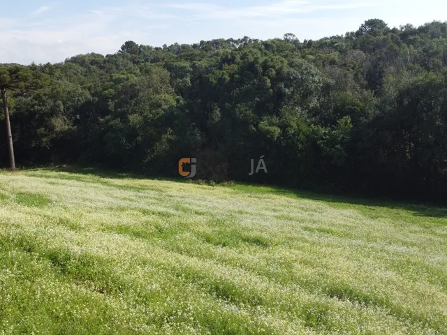 Imagem 7: TERRENO PARA FORMAÇÃO DE CHÁCARA PRÓXIMO AO CENTRO DE CAMPO LARGO